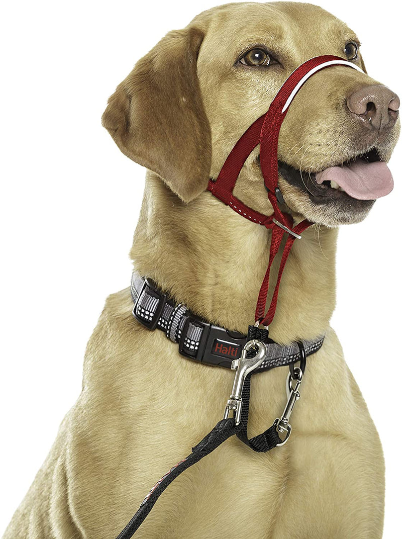 Head Collar, Head Halter Collar for Dogs, Head Collar to Stop Pulling for Small Dogs