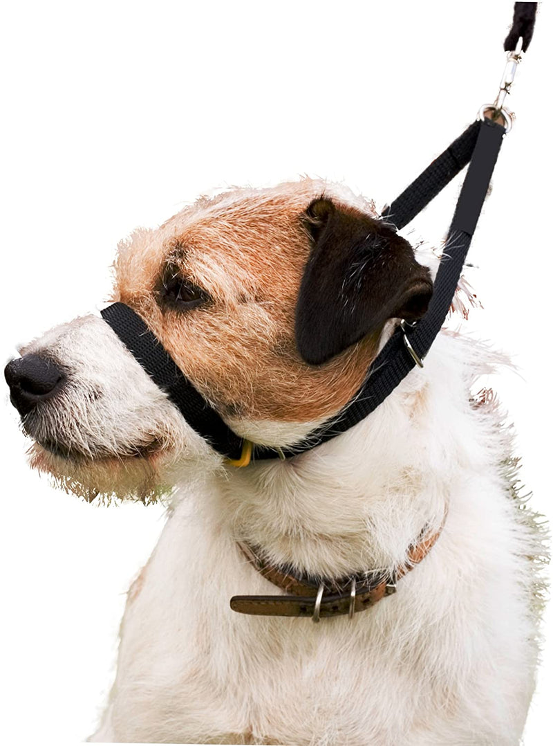 Collar for Dog Training and Walking Helps with Dog Training and Helps to Stop Dogs