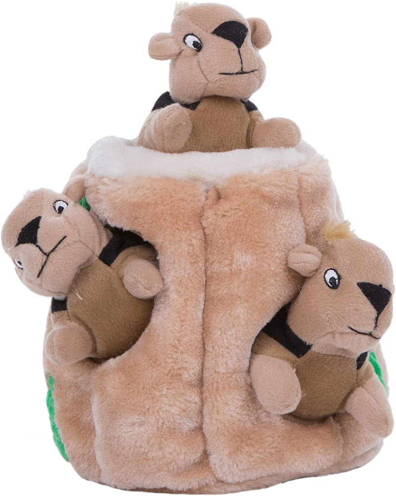 Squeaky Puzzle Plush Dog Toy - Hide and Seek Activity for Dogs