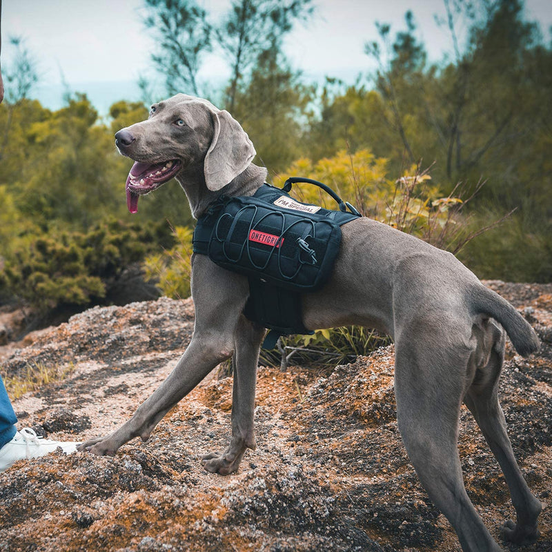 Dog Pack with Padded Handle  Hound Dog Saddle Bag Backpack for Travel Camping