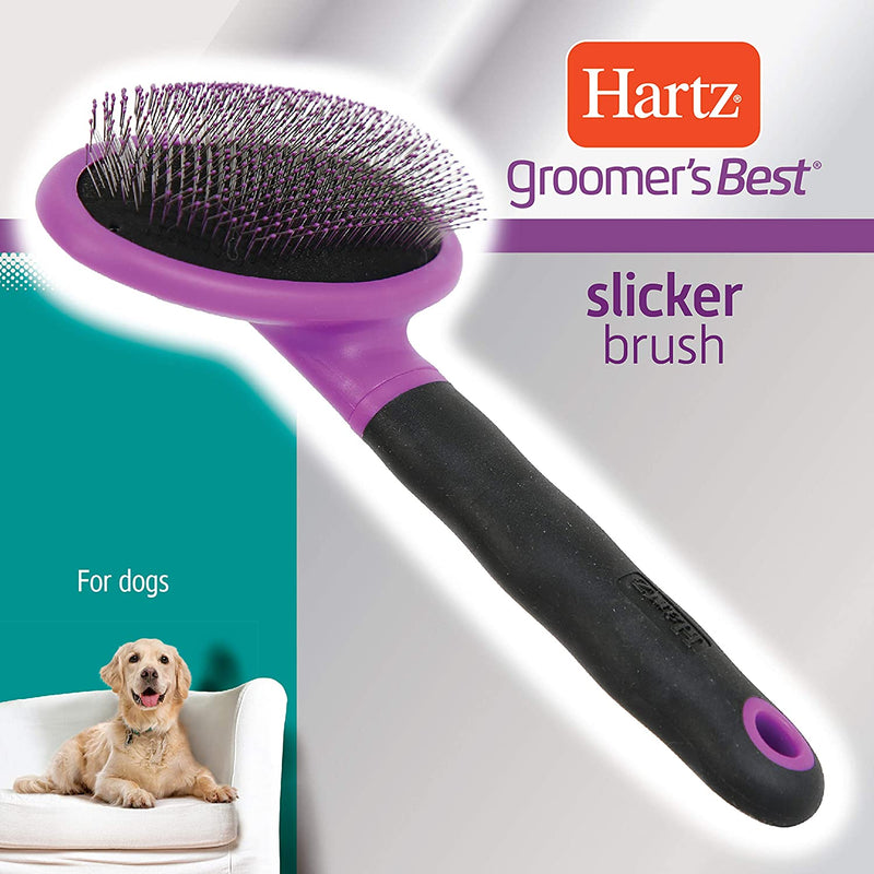 Slicker Brush for Dogs