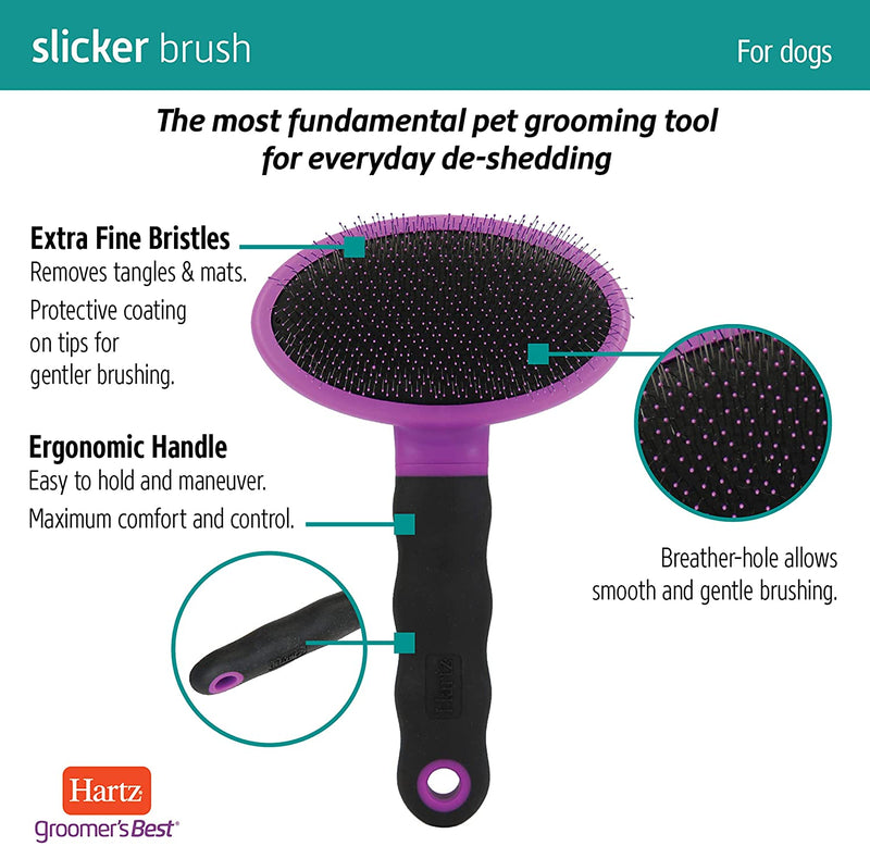 Slicker Brush for Dogs