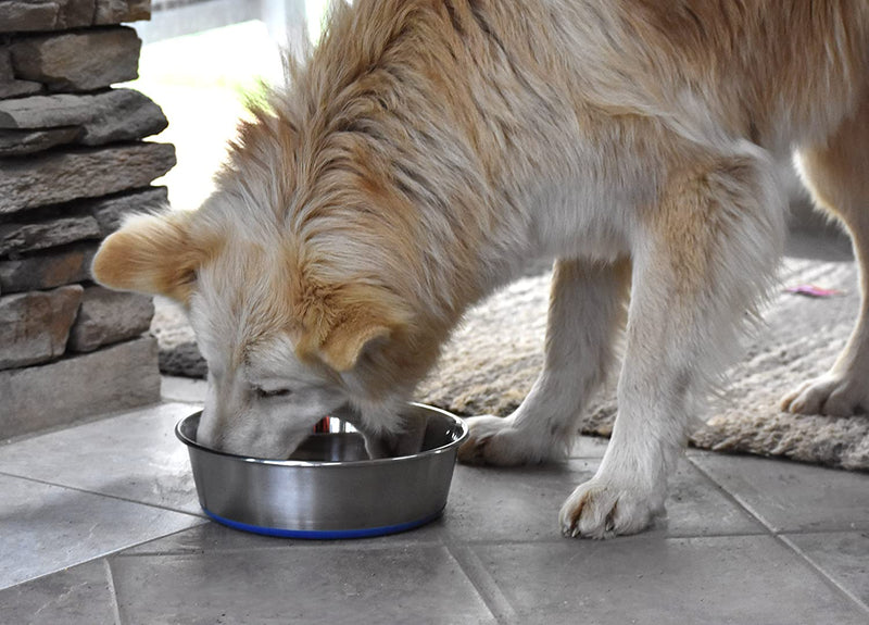 Pet Dog Bowl