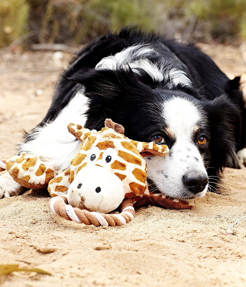 Pet Duck Dog Toy - Packed with Squeakers, Crinkle and Rope for Ultimate Tugging Fun