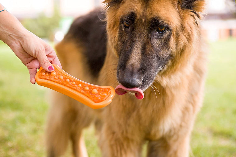 Chew 'n Clean Bacon Flavored Dog Chew Toy