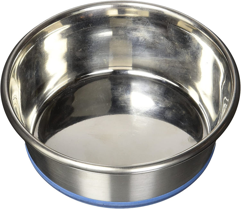 Pet Dog Bowl