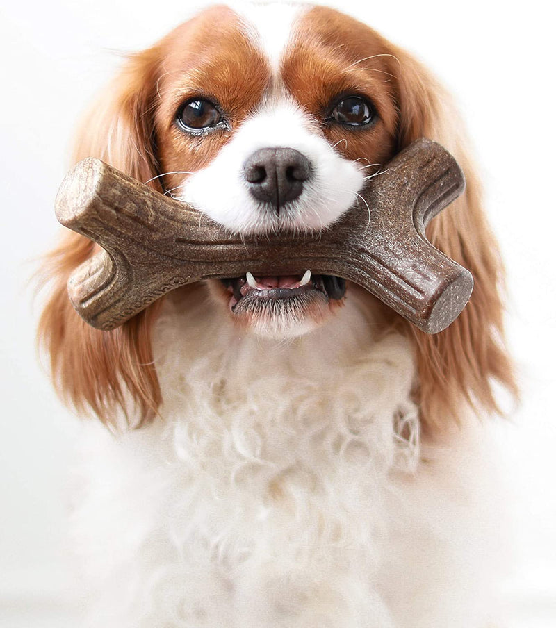 Dog Chew Toy for Aggressive Chewers