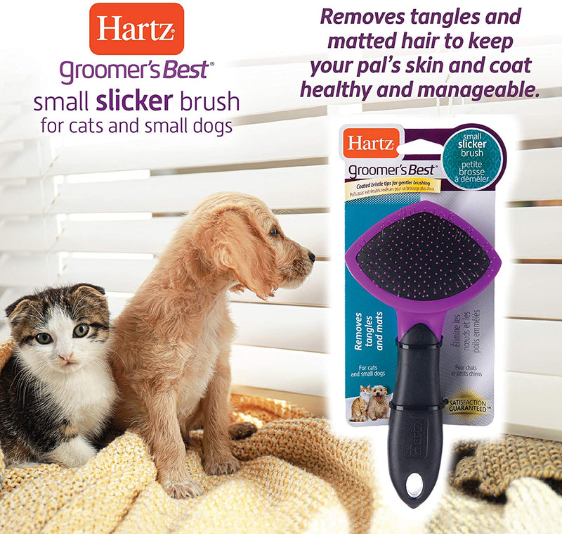 Small Slicker Brush for Cats and Small Dogs