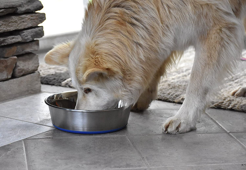 Pet Dog Bowl