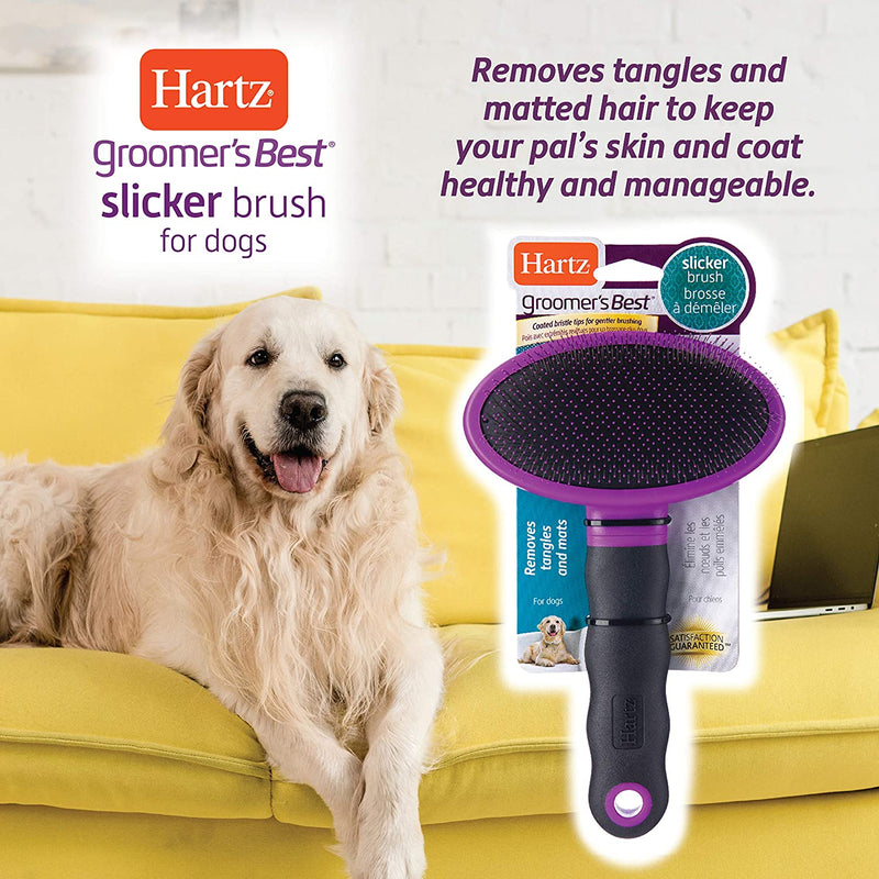 Slicker Brush for Dogs