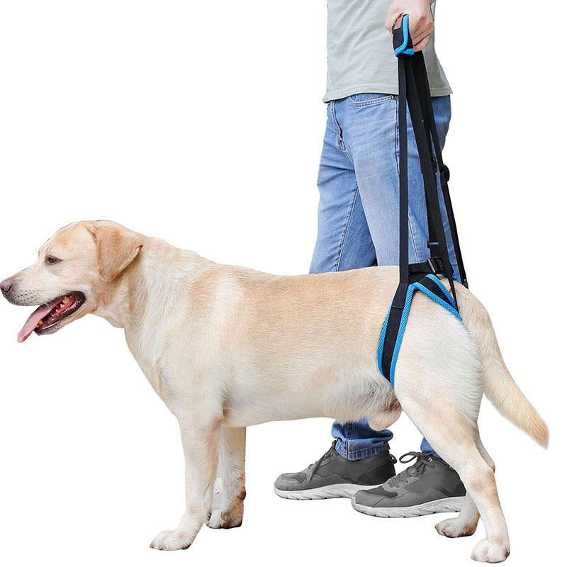 Adjustable Dog Lift Harness For Back Legs Nylon Pet Dogs Leash Belt Harness