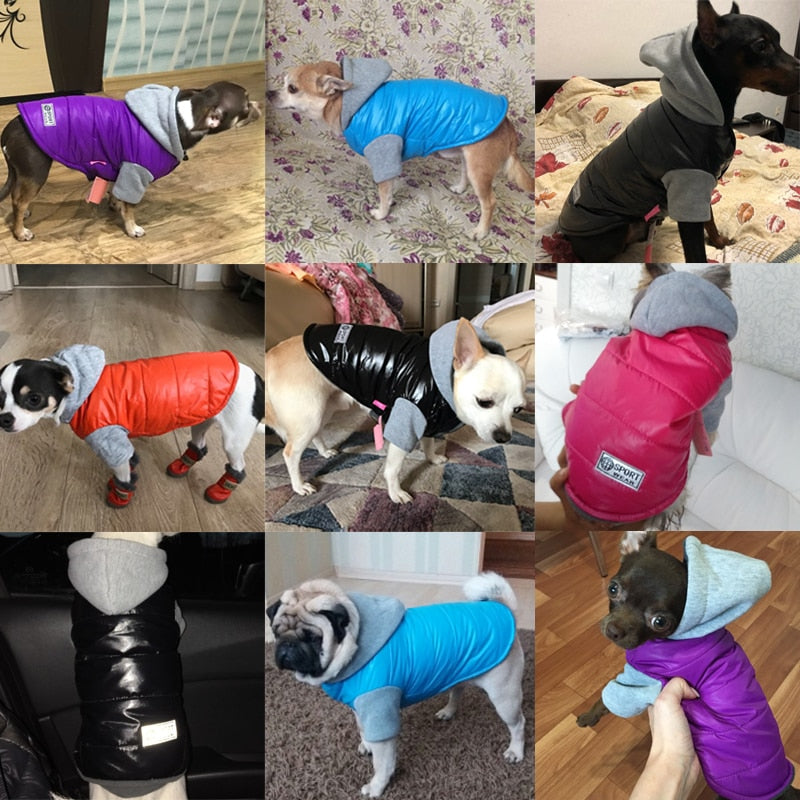 Pet Soft Fleece Coat French Bulldog Clothes Cotton Thicken Jacket Autumn and Winter Warm Costume