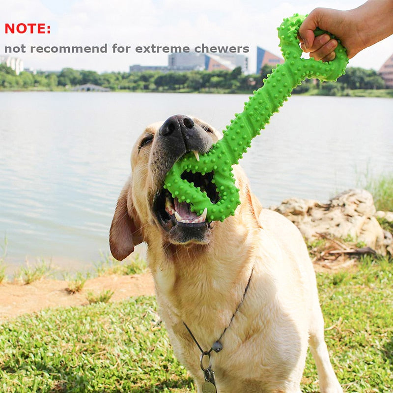 Safe Big Tooth Cleaning Pet Toys For Medium Large Dogs Durable Interactive Dog Chew Toys Bone with Convex Design