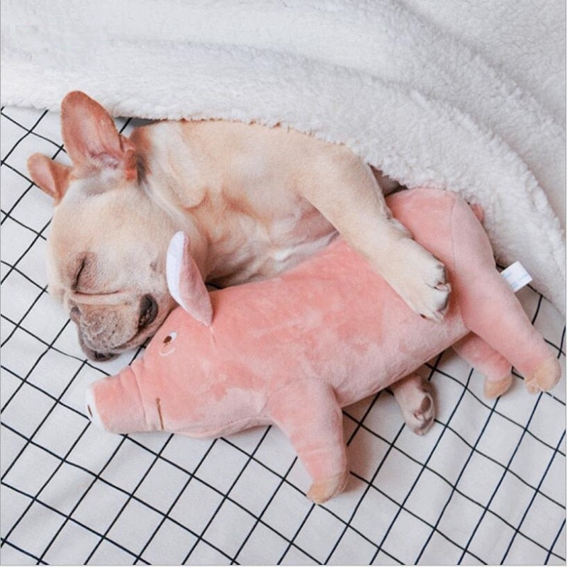 Cute Pet Chew Pig Toys for Dog Chew Training Toy Pet Products Plush Dog Toys