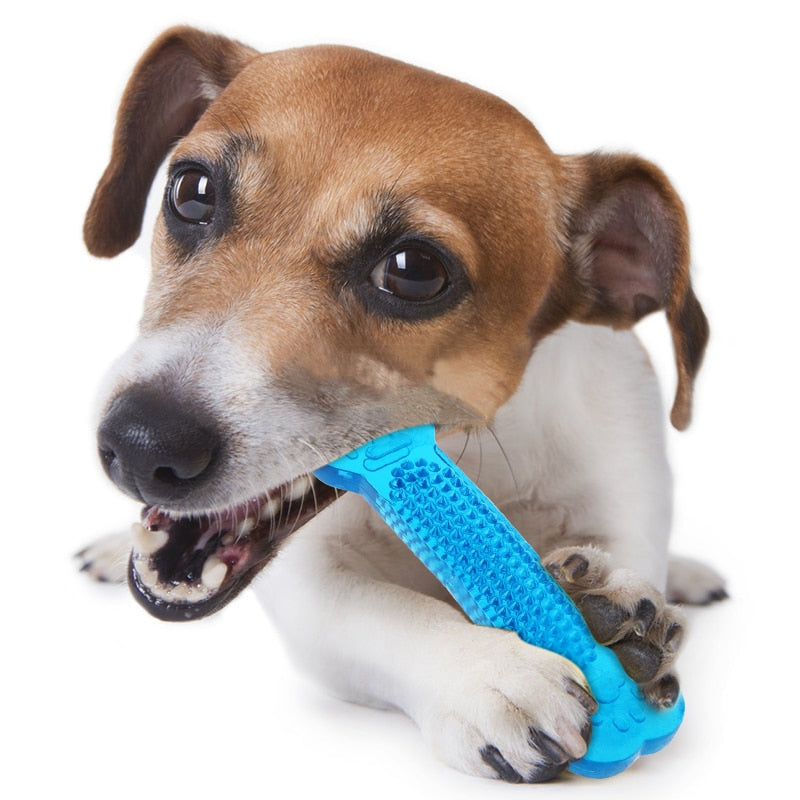 Dog Toys Pet Molar Tooth Cleaner Brushing Stick  trainging Dog Chew Toy Dogs Toothbrush Doggy Puppy Dental Care Dog Pet Puppies