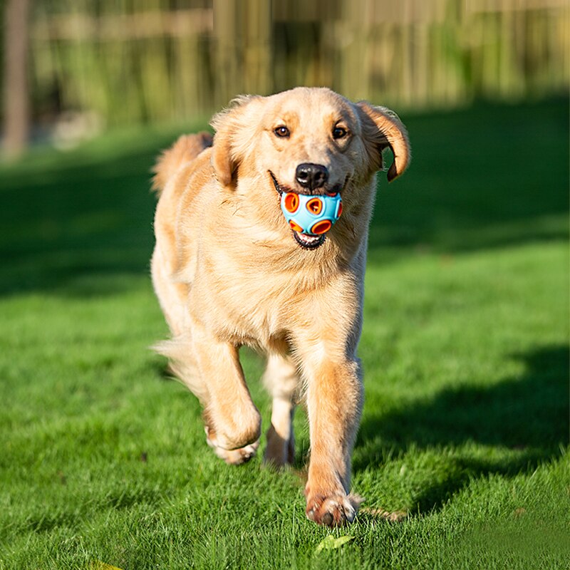 Dog chew toys for large dogs Interactive Pet Dog Ball Toy for small dogs with Small Bell Playing Fetching Nice Rubber Ball