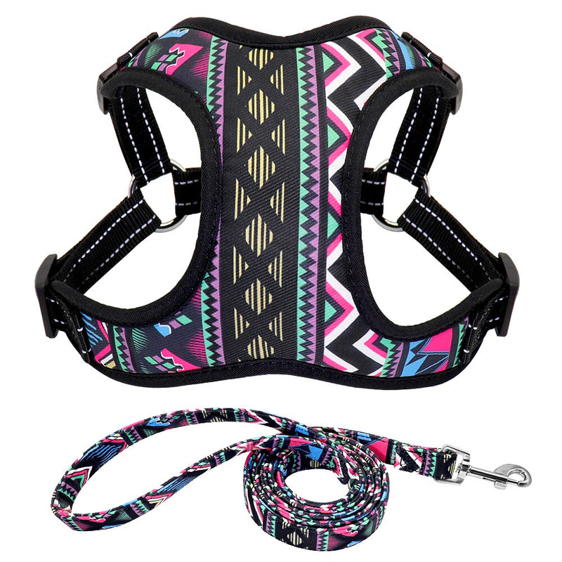 Fashion Dog Cat Harness and Leash Set Nylon Reflective Mesh Small Medium Dogs Cat Harness Vest Leash for Chihuahua Puppy Pet