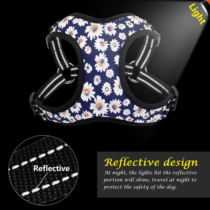 Fashion Dog Cat Harness and Leash Set Nylon Reflective Mesh Small Medium Dogs Cat Harness Vest Leash for Chihuahua Puppy Pet