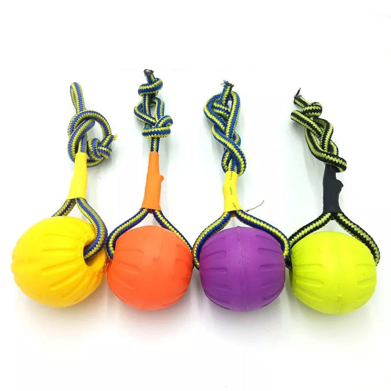 Funny puppy training ball chew toys play go get solid with carrier rope dog pet