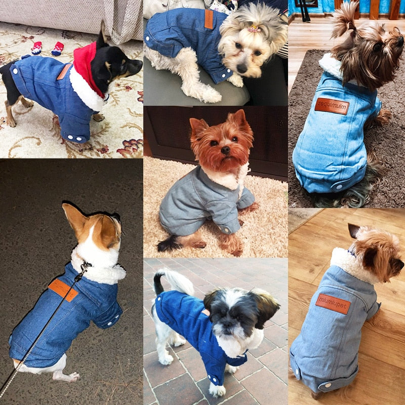 Winter Dog Jacket Puppy Dog Clothes Pet Outfits Dog Denim Coat Jeans Costume Chihuahua Poodle Bichon Pet Clothing 35S1