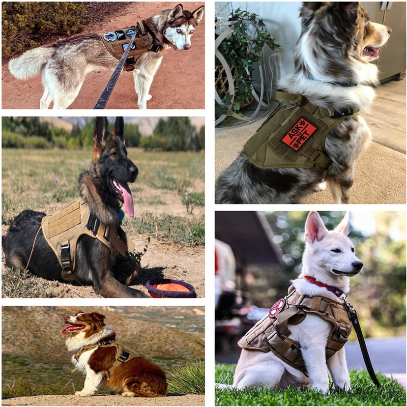 Dog Harness Pet Training Dog Vest Metal Buckle German Shepherd K9 Dog Harness and Leash For Small Large Dogs