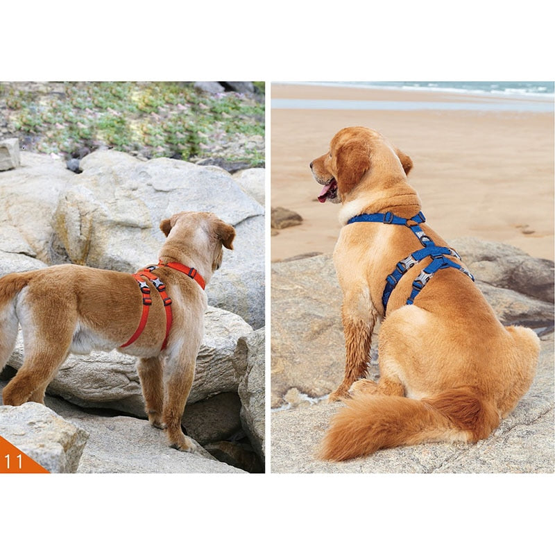 Double H Adjustable Pet Dog Harness Training Escape-Proof Dog Belt Safety Run Walking Dog Strap Harness Soft