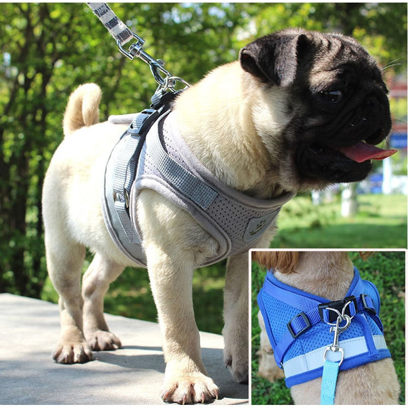 Pet Dog Cat Harness with Leash Adjustable Vest Walking Supplies Soft Breathable Plaid Collar Puppy for Small Medidum Large Dogs