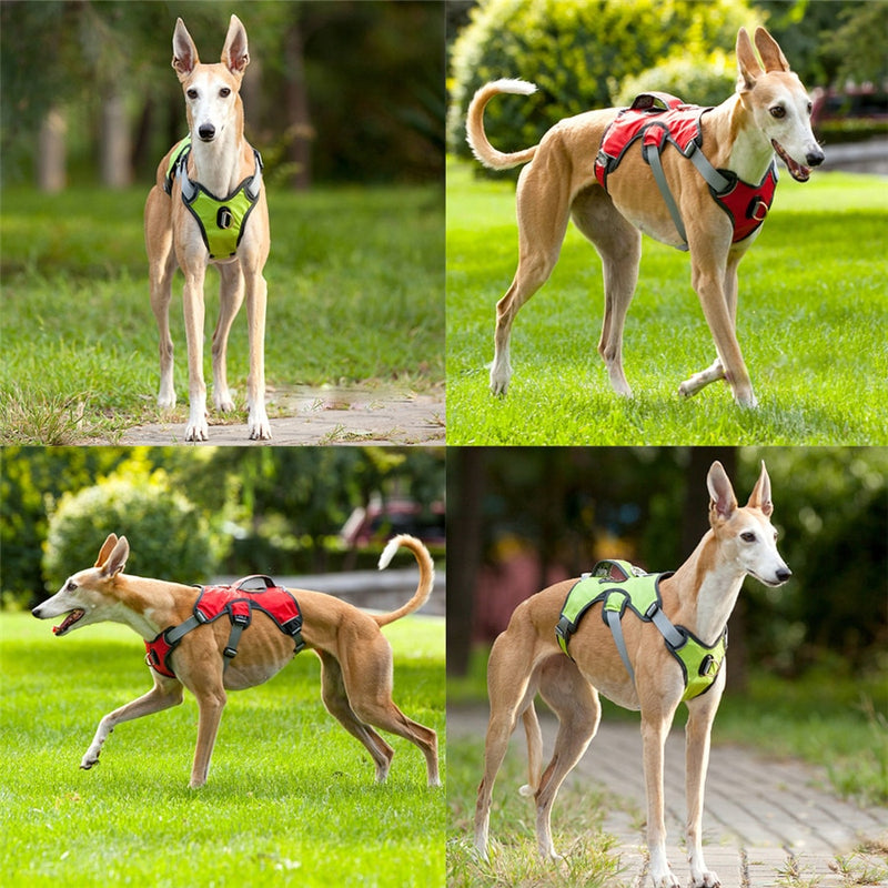 Pet Dog Harness For Dogs Vest Strong Reflective Harness Service Dog Supplies Accessories Safety Vehicular Lead Training Running