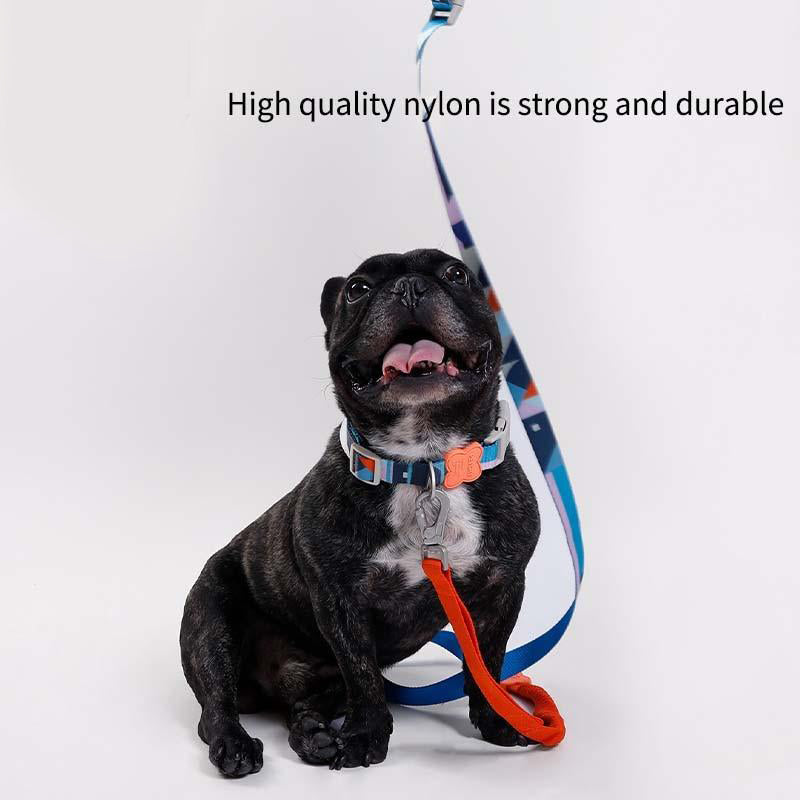 Petgoo Dog Collars Leather & Collar Leash Lead