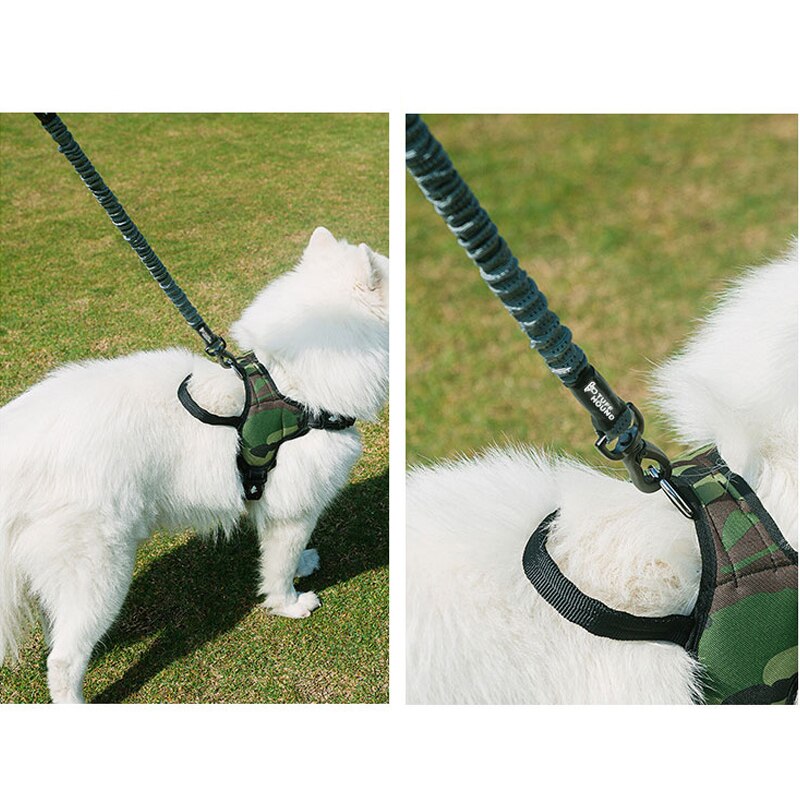 Adjustable Dog Leash Harness Chain Dogs Outdoor Walking Traction Rope Leash