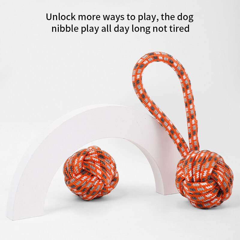 Petgoo Ball & Rope Ends Dog Toy