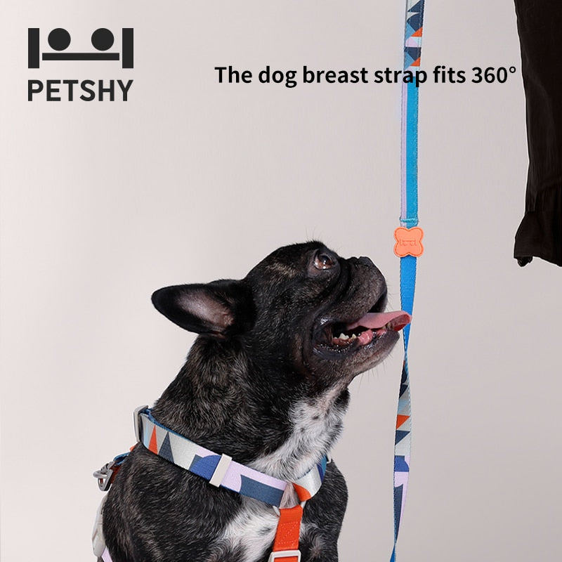 Petshy Dog Harness with Leash Summer Pet Adjustable Vest Walking Lead for Puppy Polyester Mesh Harness for Small Medium Dog