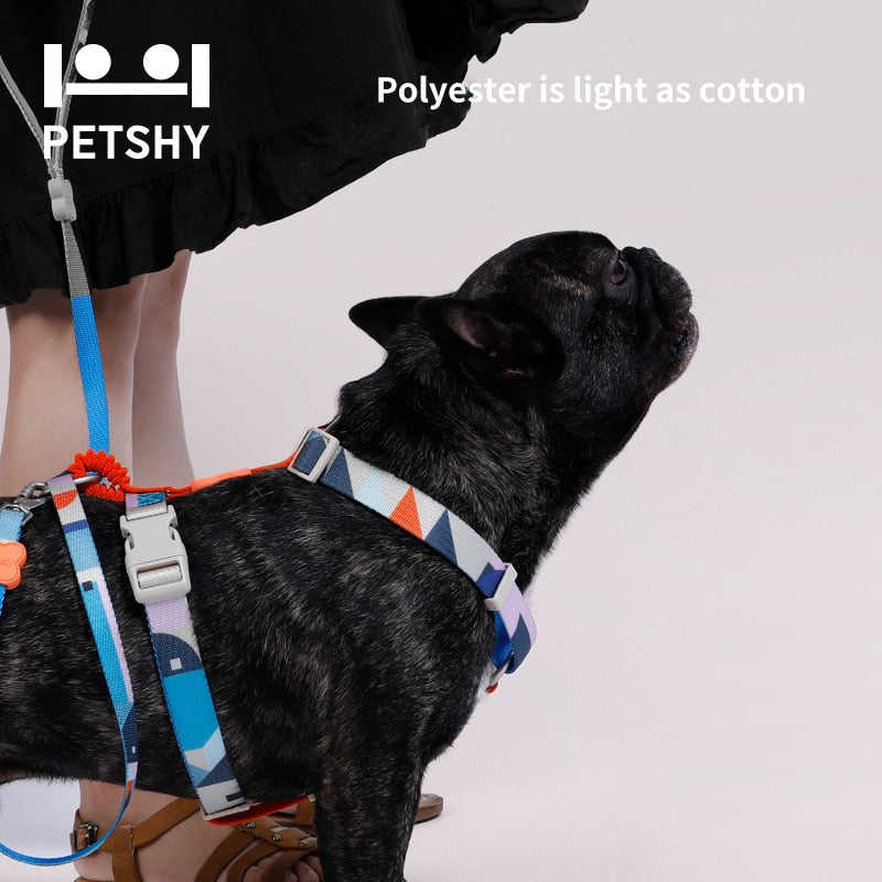 Petshy Dog Harness with Leash Summer Pet Adjustable Vest Walking Lead for Puppy Polyester Mesh Harness for Small Medium Dog