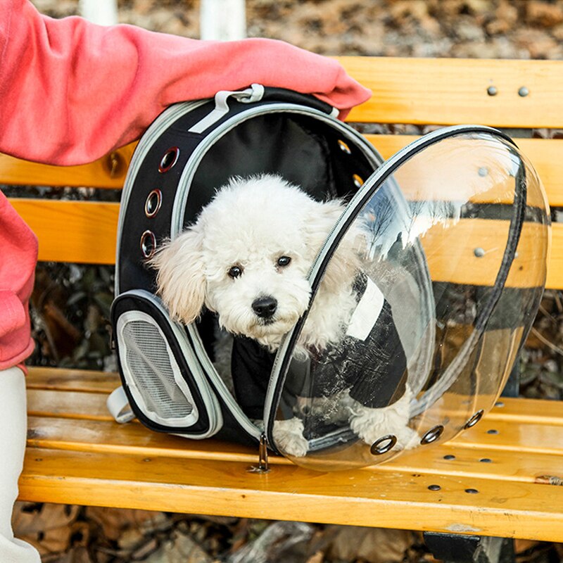 Petshy Dog Transparent Space Capsule Pet Cat Backpack Window Small Dog Carrying Cage Outdoor Travel Bags Puppy Pet Carrier Bag