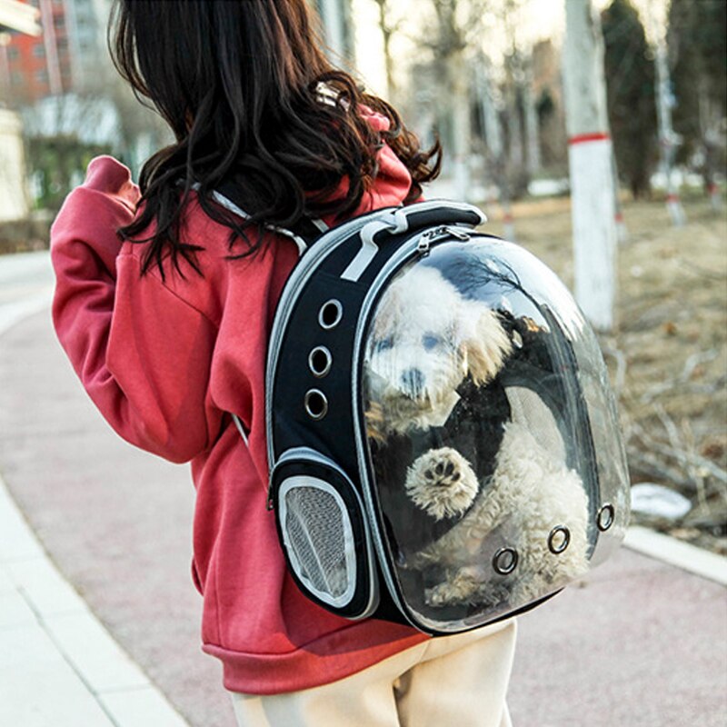 Petshy Dog Transparent Space Capsule Pet Cat Backpack Window Small Dog Carrying Cage Outdoor Travel Bags Puppy Pet Carrier Bag