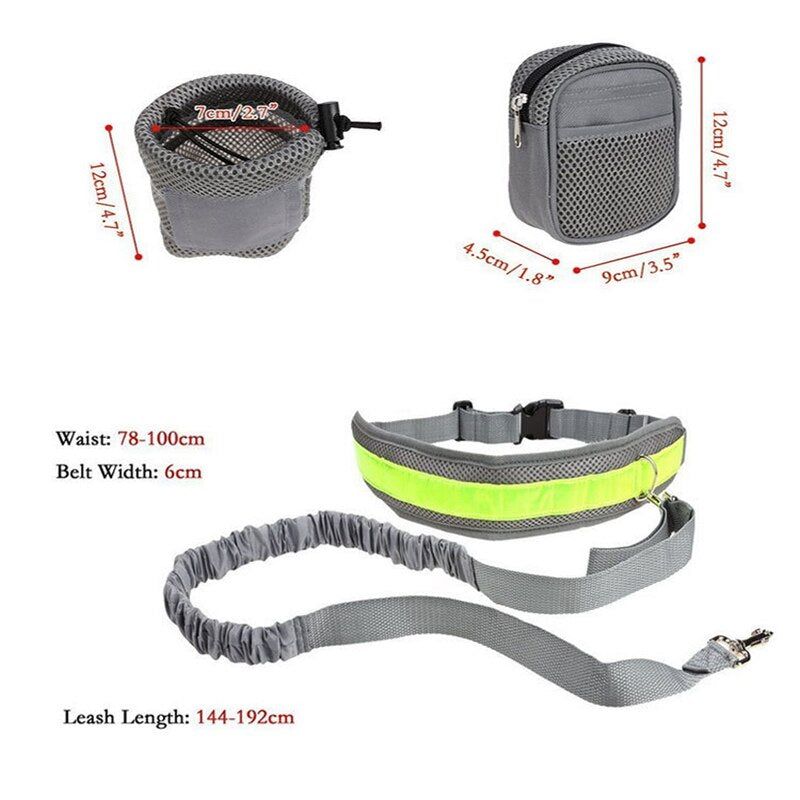 Petshy Hands Free Elastic Dog Leashes Adjustable Padded Waist Reflective Running Jogging Walking Pet Lead Belt Dogs Leash Lead