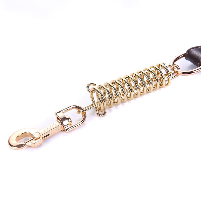 Petshy Leather Buffer Spring Pets Leashes Short Safety Outdoor Walking Training Dogs Rope For Medium Large Dog Pet Products