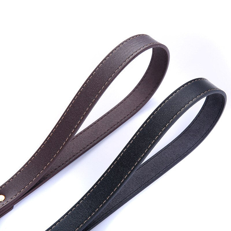 Petshy Leather Buffer Spring Pets Leashes Short Safety Outdoor Walking Training Dogs Rope For Medium Large Dog Pet Products