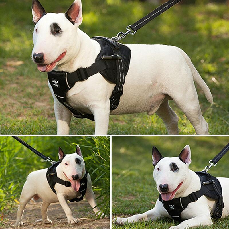 Petshy New Reflective Dog Harness Medium Big Large Dogs Training Vest Comfortable Adjustable Outdoor Harness Pet Accessories