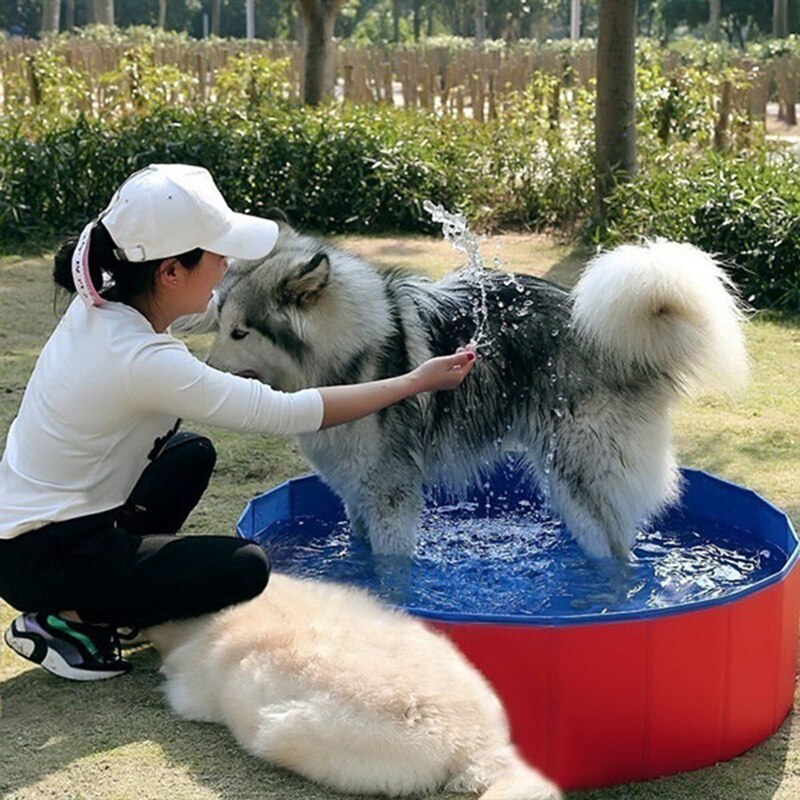 Petshy Pet Bathtub Summer Foldable Portable Dog Cat Swimming Pool Outdoor Indoor PVC Inflatable Dogs Clean Bathing Tub