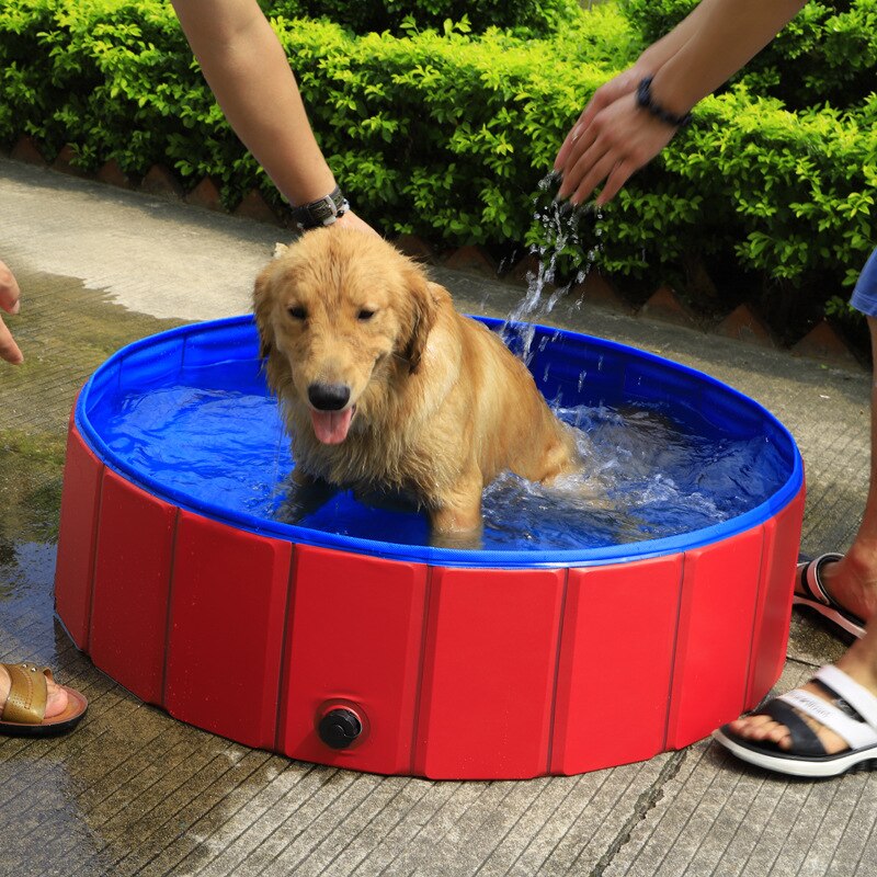 Petshy Pet Bathtub Summer Foldable Portable Dog Cat Swimming Pool Outdoor Indoor PVC Inflatable Dogs Clean Bathing Tub