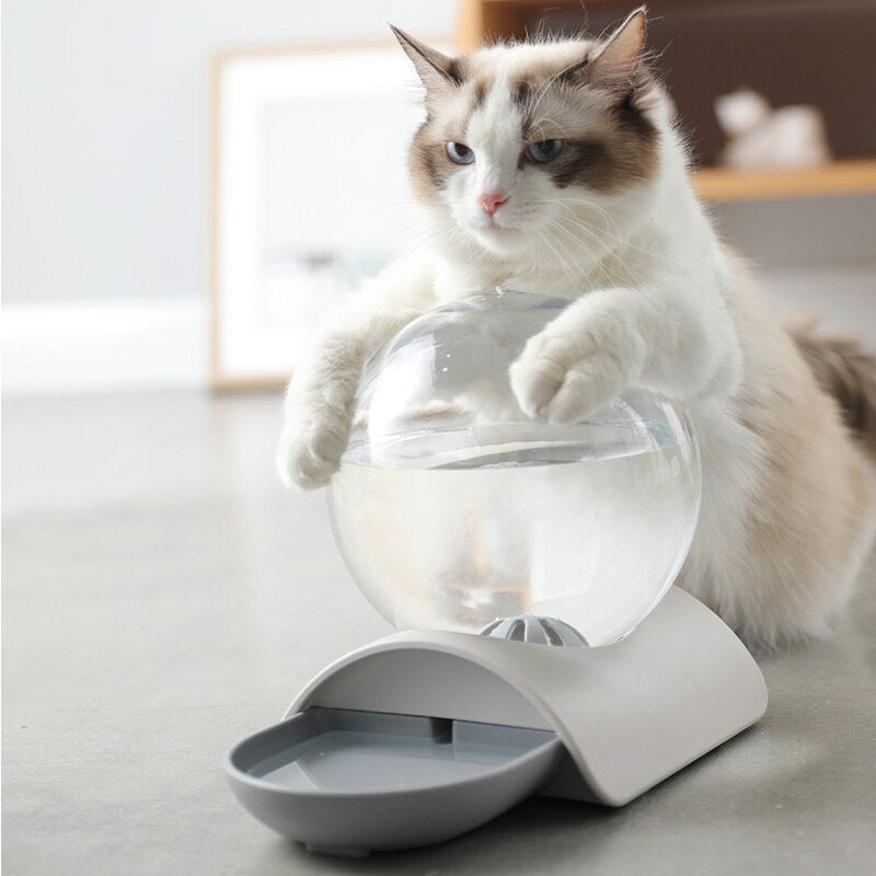 Petshy Pet Water Dispenser Bubble Automatic Cat Water Fountain Large Capacity Cats Dogs Drinking Bowl 2.8L No Electricity