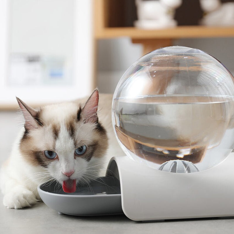 Petshy Pet Water Dispenser Bubble Automatic Cat Water Fountain Large Capacity Cats Dogs Drinking Bowl 2.8L No Electricity