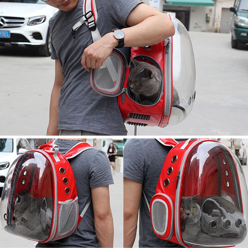 Petshy Puppy Cat Carrier Backpack Breathable Transparent Outdoor Travel Hiking Mountaineering Small Dogs Carrying Cage Bag