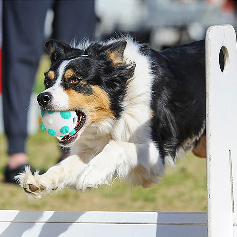 Rubber Dog Chew Toy Ball Tooth Cleaning Bite Resistant Large Small Dogs Molar Interactive Training Toy Treat Ball Food Dispenser