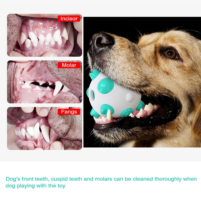 Rubber Dog Chew Toy Ball Tooth Cleaning Bite Resistant Large Small Dogs Molar Interactive Training Toy Treat Ball Food Dispenser