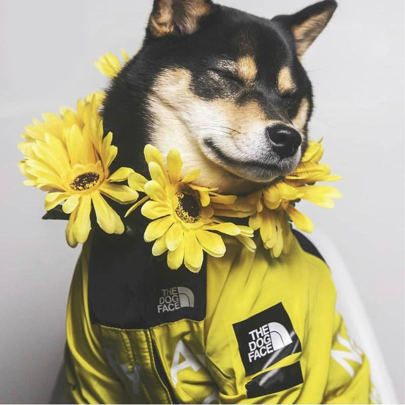 S-5XL Dog Raincoat Jacket Clothes Windproof Cat Dog Jacket Fashion Waterproof Reflective Pet Clothing Small Pets Large Pets Coat