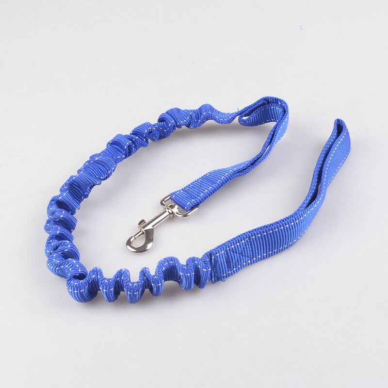 Smartpet Double Dog Leash Elastic Bungee Pet Traction Rope Walking Leads For 2 Dogs Leashes Splitter Pet Walking Running Leads