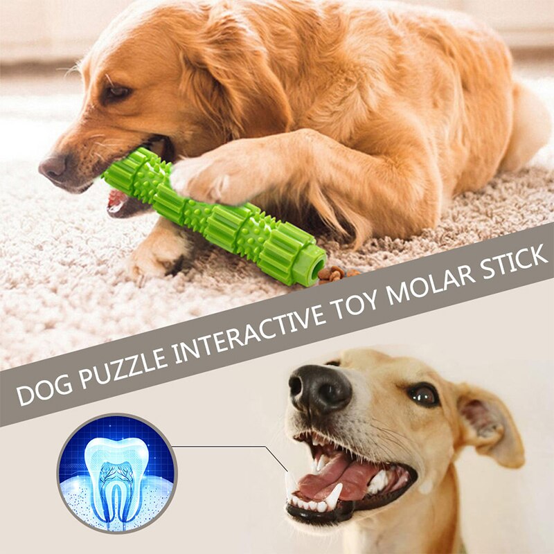 Smartpet New Pet Chew Toy Dog Leaking Food Toy Durable Rubber Dog Molar Stick Teeth Cleaning Dog Interactive Toys Pet Supplies