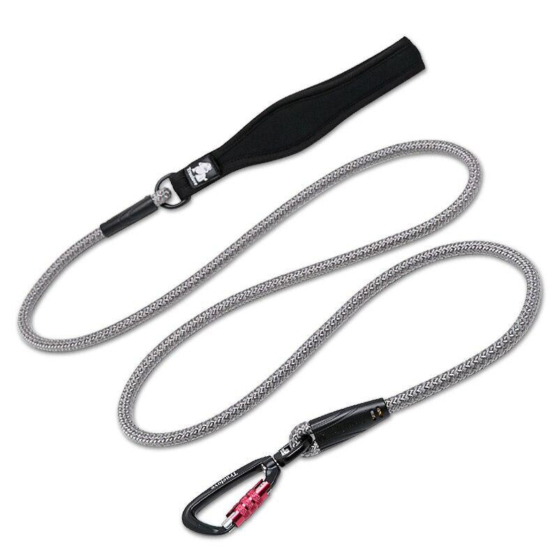 Dog Pet Leash Nylon with Reflective Aluminum -Alloy Hook Stainless Steel D-ring Neoprene Handle walking hiking TLL2571